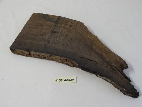 Mooreiche,Moorholz,3000J,Bog