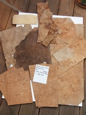  Konvolut mit Maserfurnieren