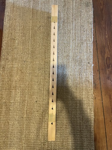 Zahnleiste 101 buche - zahnleiste(n),, l:101