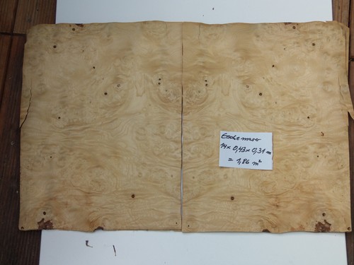 Blatt esche maserfurnier - 14, esche-maserfurnier